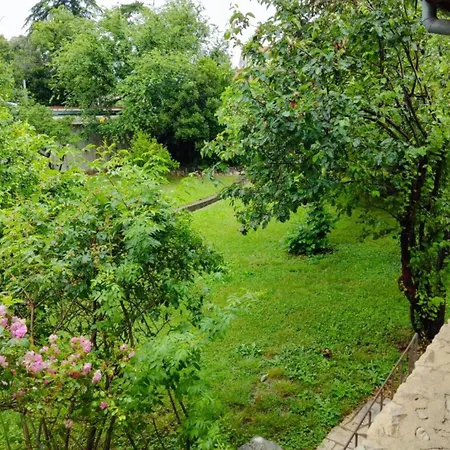 & Oliva Novi Vinodolski